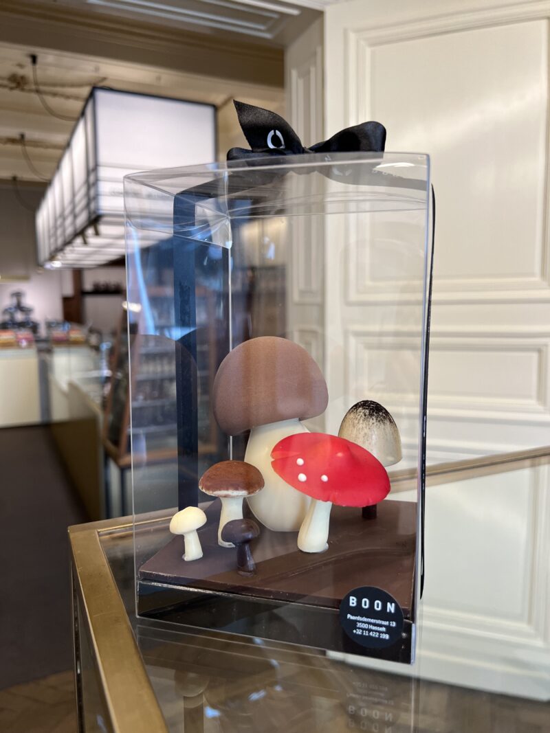 Paddenstoelen klein