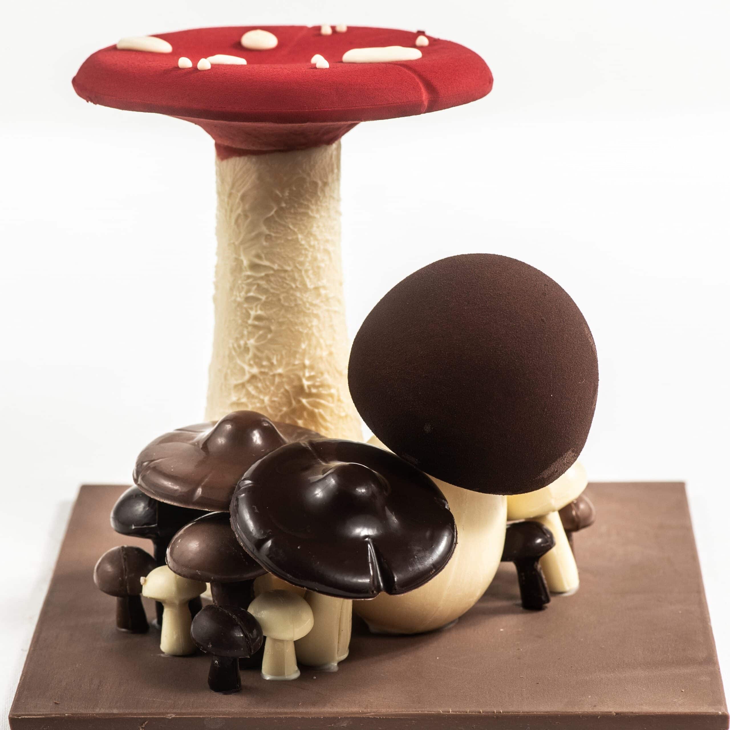 Paddenstoelen groot
