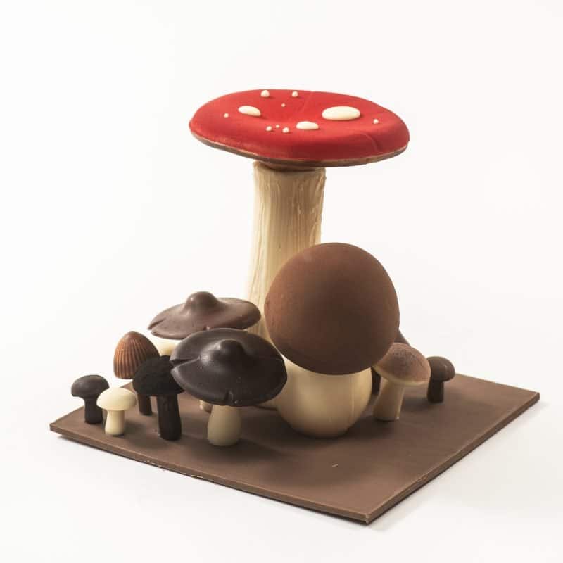Paddenstoelen groot