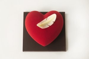 Fluweel hart met veertje gevuld - groot