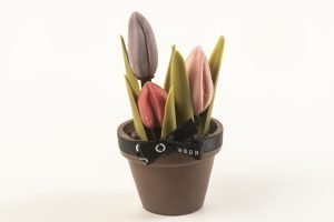Chocolade tulpje