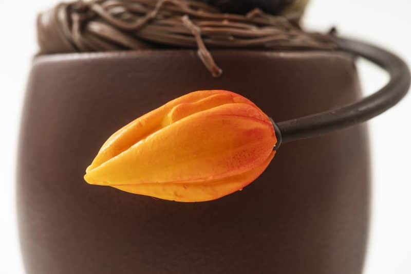 Gevuld ei met tulp - Afbeelding 2