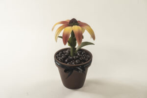 Zonnehoedbloem chocolade